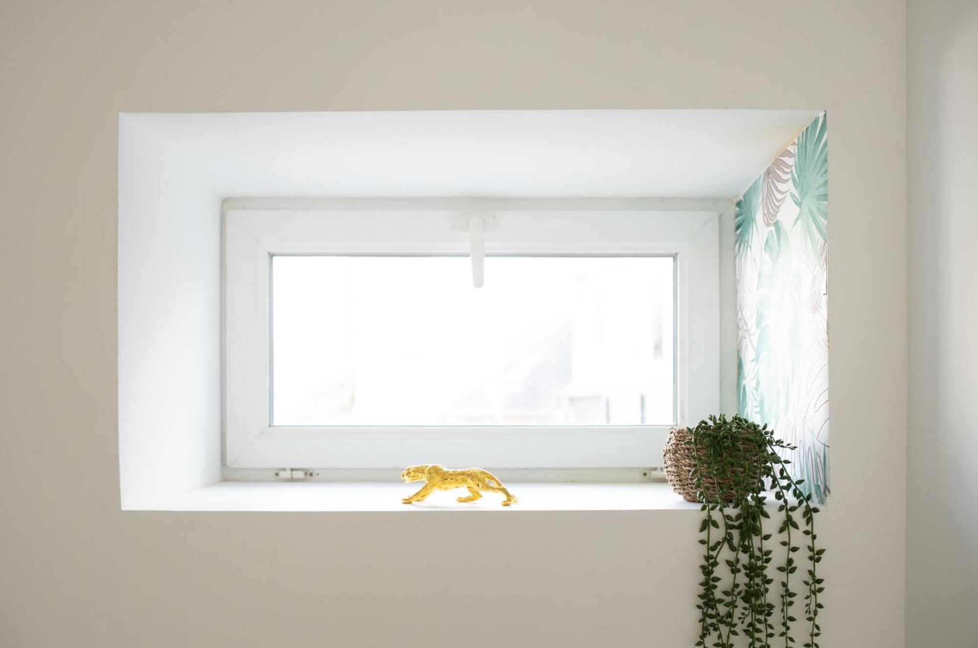 Jungle Appartement Lumineux Plein Centre Boulogne-sur-Mer Exterior foto
