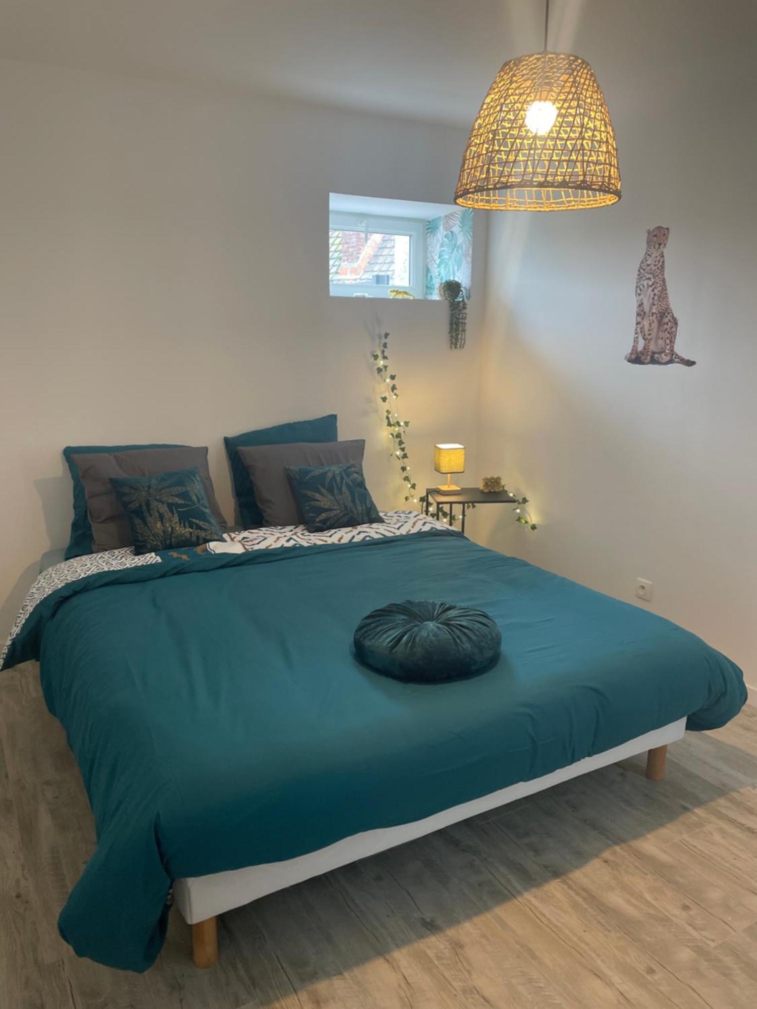 Jungle Appartement Lumineux Plein Centre Boulogne-sur-Mer Exterior foto