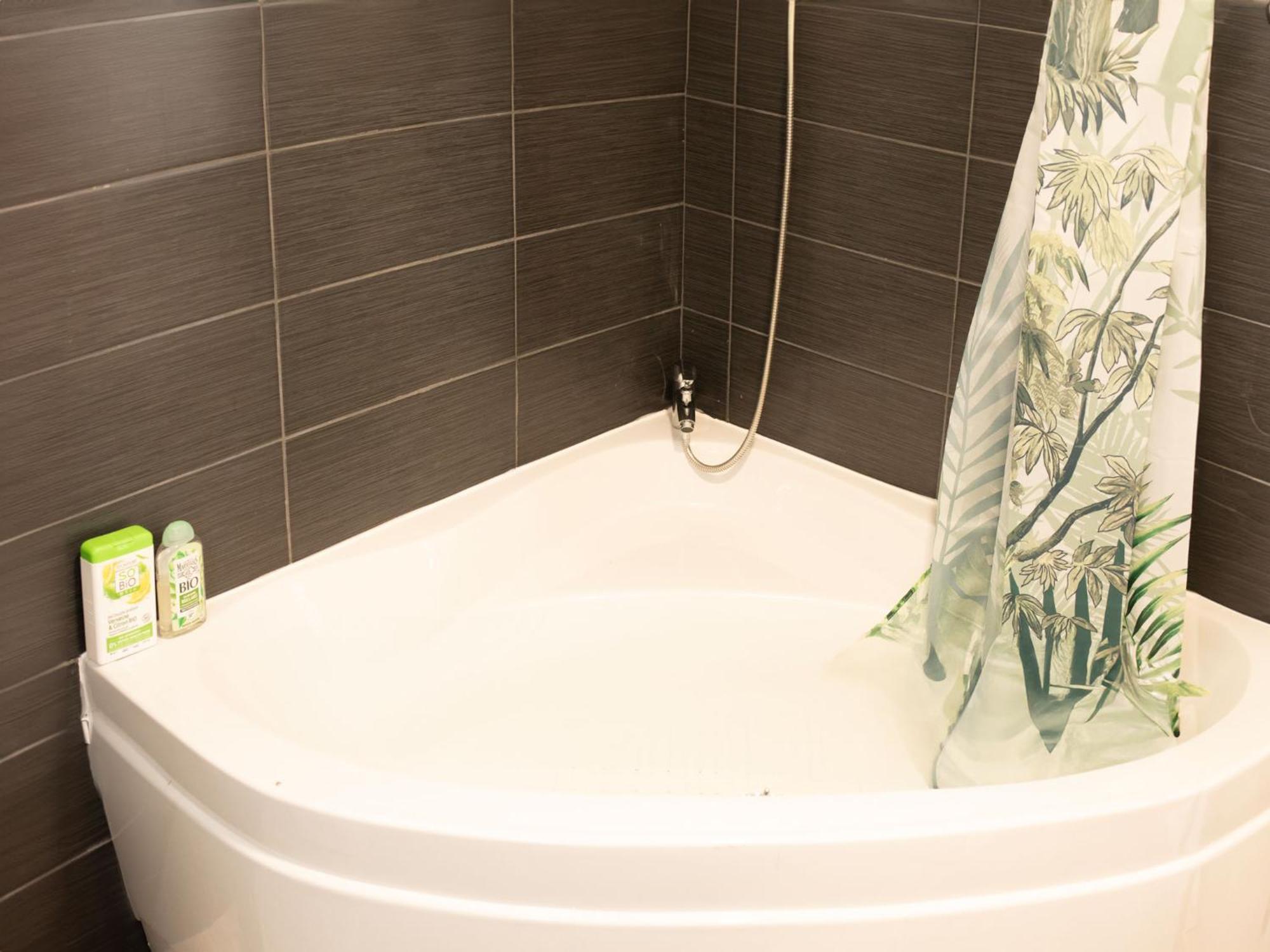 Jungle Appartement Lumineux Plein Centre Boulogne-sur-Mer Exterior foto